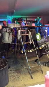 Ripple Rhythms Poise 6