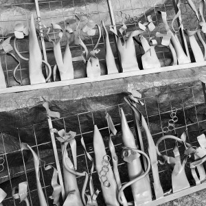 Top Gates Southsea Greenhouse