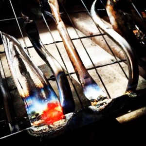 Top Gates Southsea Greenhouse