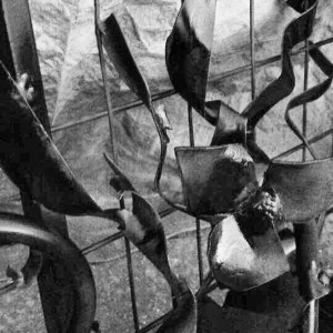 Top Gates Southsea Greenhouse